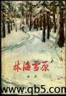 林海雪原 封面