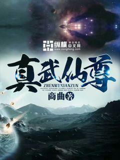 真武仙尊 封面