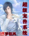 超级宠兽系统 封面