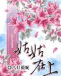 姑姑在上 封面