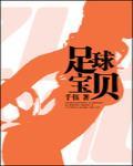 足球宝贝 封面