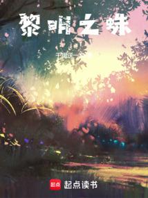 黎明之蛛 封面