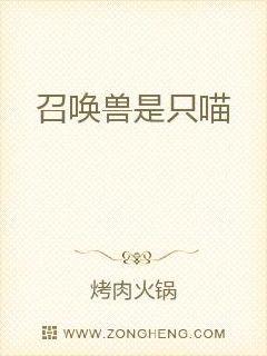 召唤兽是只喵 封面