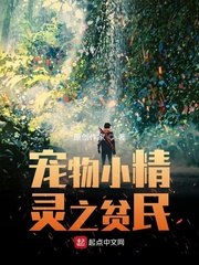 宠物小精灵之贫民 封面