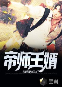 帝师王婿 封面