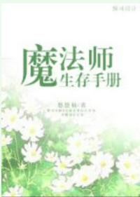 魔法师生存手册 封面