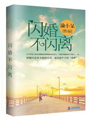 闪婚不闪离 封面