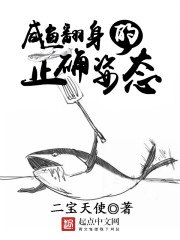 咸鱼翻身的正确姿势 封面