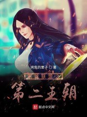 英雄联盟之第二王朝 封面