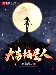 大唐摘星人 封面