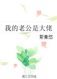 我的老公是大佬 封面