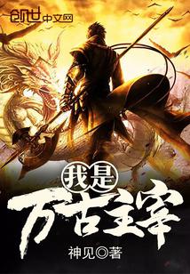 我是万古主宰 封面