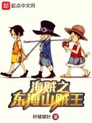 海贼之东海山贼王 封面