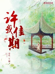许我佳期 封面