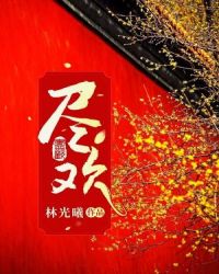 尽欢风流录全本 封面