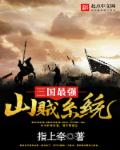 三国最强山贼系统 封面