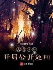 人在木叶:开局公开处刑 封面