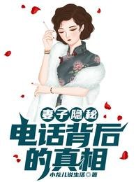 妻子隐秘：电话背后的真相 封面
