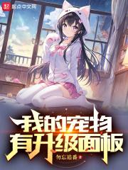 我的宠物有升级面板 封面