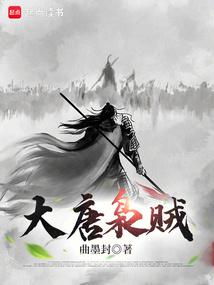 大唐枭贼 封面