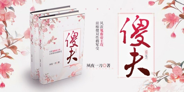 傻夫 封面