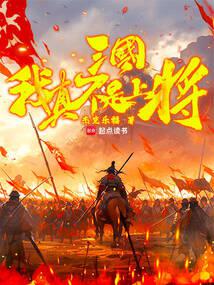 三国，我真不是上将！ 封面