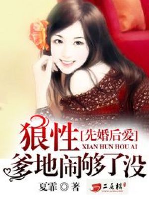 先婚后爱：狼性爹地闹够了没 封面
