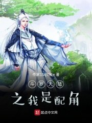 斗罗大陆之我是配角 封面