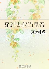 穿到古代当皇帝 封面