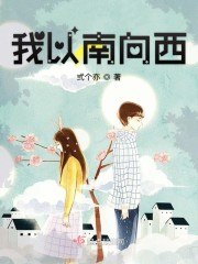 我以南向西 封面