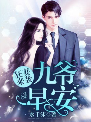 九爷的心尖宠墨心儿 封面