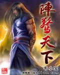 阵惊天下 封面