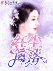 红尘篱落 封面
