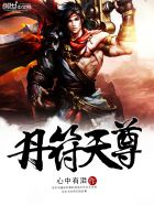 丹符天尊 封面