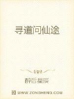 寻道问仙途 封面