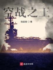 空战之王 封面