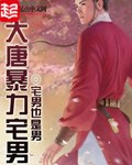 大唐暴力宅男 封面