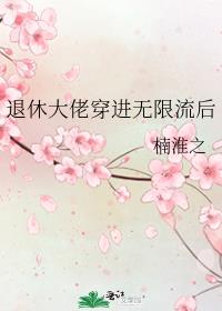 退休大佬穿进无限流后 封面