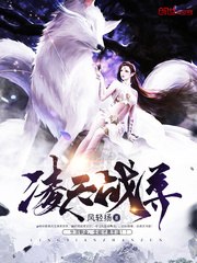 段凌天可儿 封面