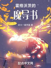 霍格沃茨的魔导书 封面