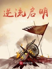 逆流启明 封面